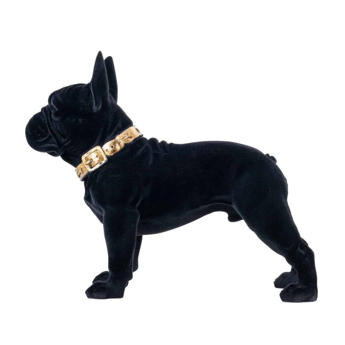 #¿NOMBRE? - Dog Spike zwart (Black)