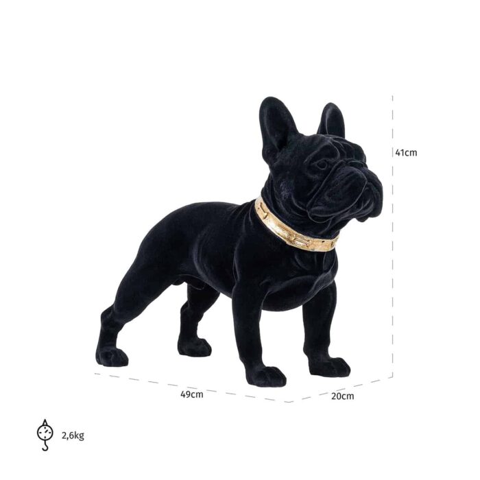 #¿NOMBRE? - Dog Spike zwart (Black)